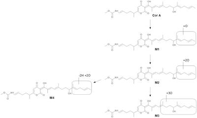 Pharmacology and early ADMET data of corallopyronin A, a natural product with macrofilaricidal anti-wolbachial activity in filarial nematodes
